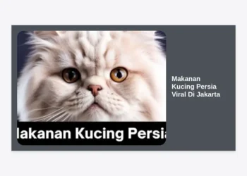 12 Rekomendasi Makanan Kucing Persia Viral di Jakarta: Rahasia Bulu Lebat & Sehat
