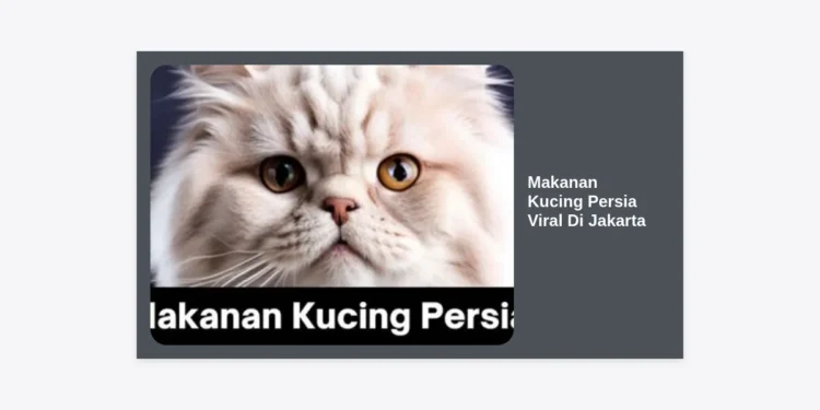 12 Rekomendasi Makanan Kucing Persia Viral di Jakarta: Rahasia Bulu Lebat & Sehat