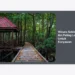 15 Rekomendasi Wisata Sekitar IKN Paling Laris Untuk Karyawan: Panduan Lengkap Healing & Team Building