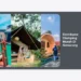 Distributor Glamping Murah Di Semarang: Panduan Lengkap & Rekomendasi Terbaik 2024