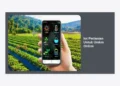 Iot Pertanian Untuk Umkm Online: Panduan Lengkap Transformasi Digital Agrikultur