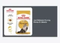 Jual Makanan Kucing Persia di Jakarta: Panduan Lengkap Nutrisi & Toko Terbaik