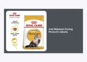 Jual Makanan Kucing Persia di Jakarta: Panduan Lengkap Nutrisi & Toko Terbaik