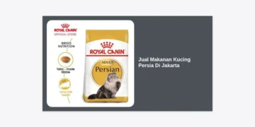 Jual Makanan Kucing Persia di Jakarta: Panduan Lengkap Nutrisi & Toko Terbaik