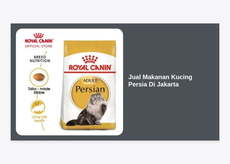 Jual Makanan Kucing Persia di Jakarta: Panduan Lengkap Nutrisi & Toko Terbaik