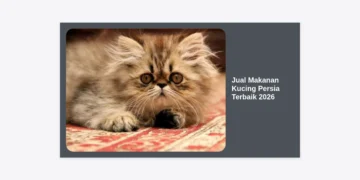 Jual Makanan Kucing Persia Terbaik 2026: Panduan Lengkap Nutrisi, Harga, dan Rekomendasi Brand