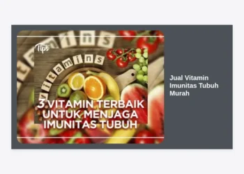 Jual Vitamin Imunitas Tubuh Murah: Panduan Lengkap Memilih Suplemen Berkualitas untuk Daya Tahan Optimal