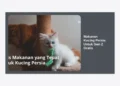 Makanan Kucing Persia Untuk Gen Z Gratis: Panduan Lengkap Nutrisi & Tips Hemat