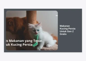 Makanan Kucing Persia Untuk Gen Z Gratis: Panduan Lengkap Nutrisi & Tips Hemat