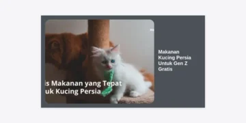 Makanan Kucing Persia Untuk Gen Z Gratis: Panduan Lengkap Nutrisi & Tips Hemat