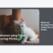 Makanan Kucing Persia Untuk Gen Z Gratis: Panduan Lengkap Nutrisi & Tips Hemat