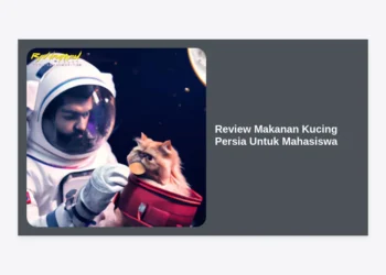 Review Makanan Kucing Persia Untuk Mahasiswa: 10 Rekomendasi Hemat & Berkualitas