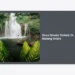 15+ Desa Wisata Terbaik di Malang Gratis dan Instagramable untuk Liburan Hemat
